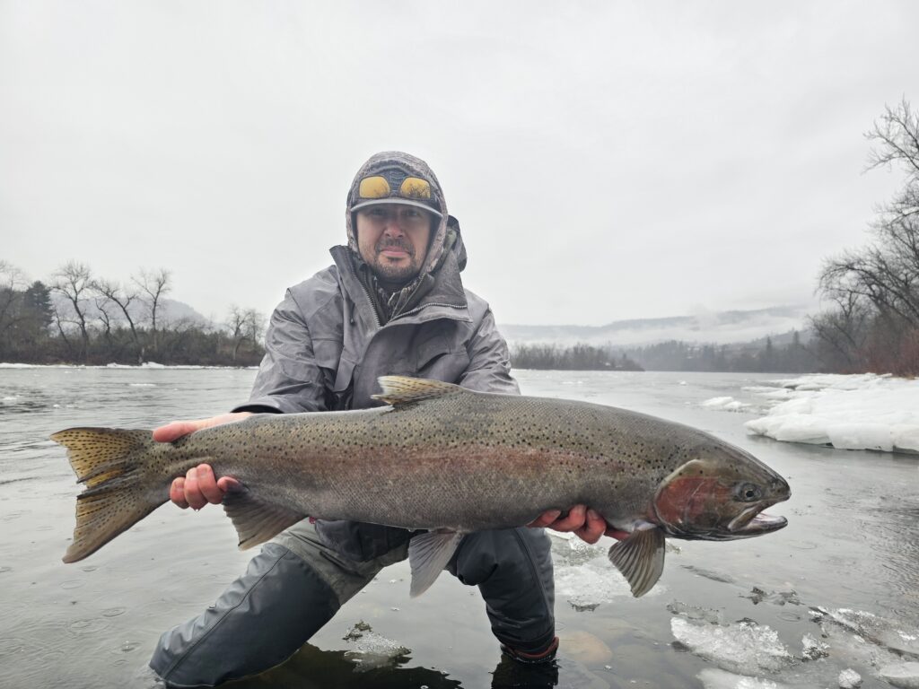 Image of a Ryan Stefek Outfitters client holding a massive Steelhead outside Kooskia, ID