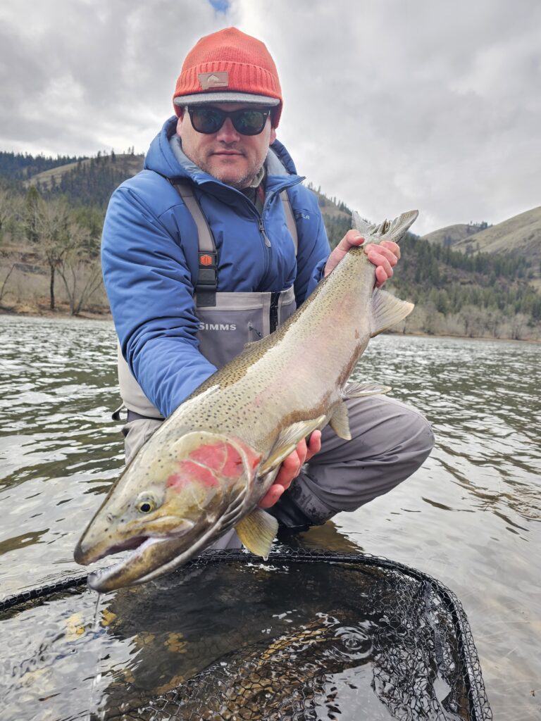 Image of a Ryan Stefek Outfitters client holding a massive Steelhead outside Kooskia, ID