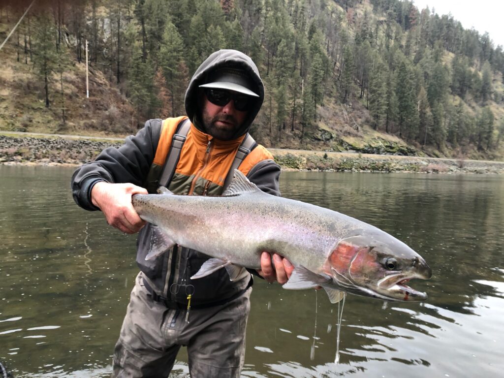Image of a Ryan Stefek Outfitters client holding a massive Steelhead outside Kooskia, ID