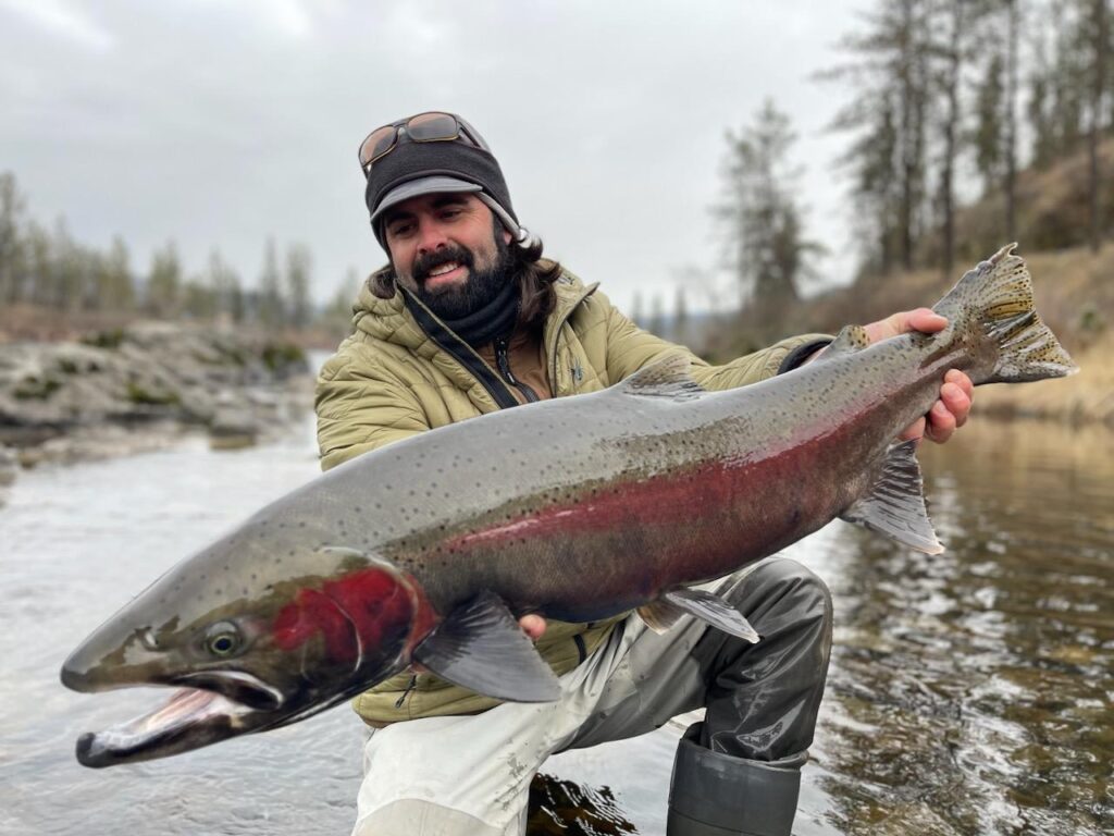 Image of a Ryan Stefek Outfitters client holding a massive Steelhead outside Kooskia, ID